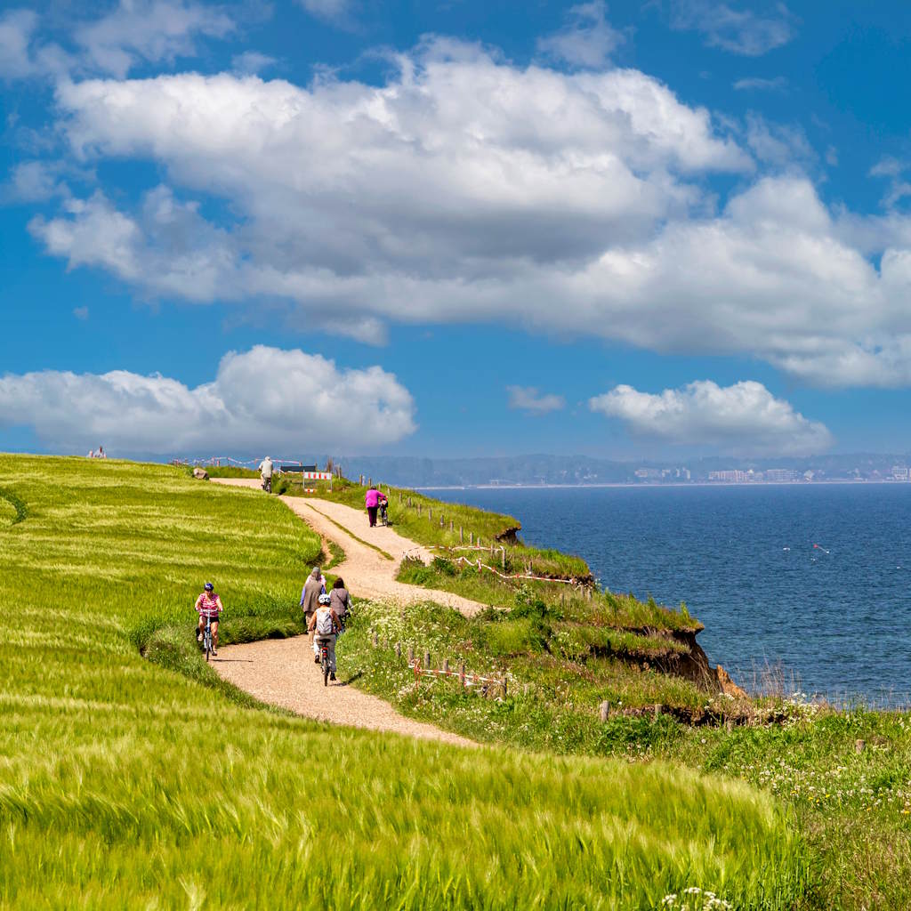 Küstenradweg Travemünde mit grüner Wiese und Steilküste