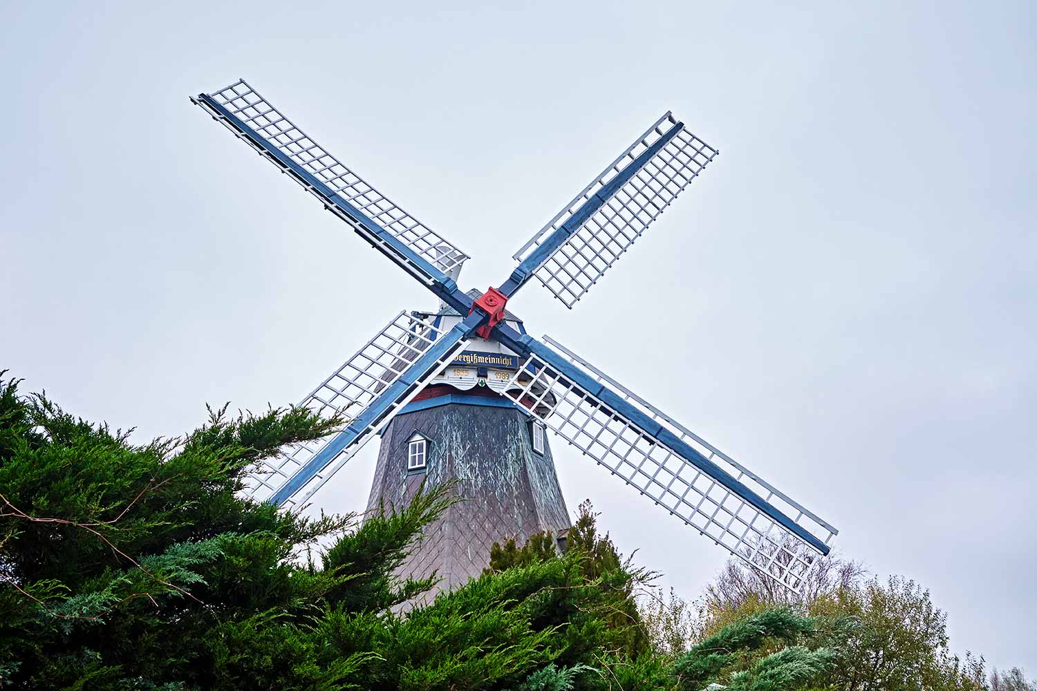 Die Hochtzeitsmühle " Vergissmeinnicht " in Friedrichskoog.