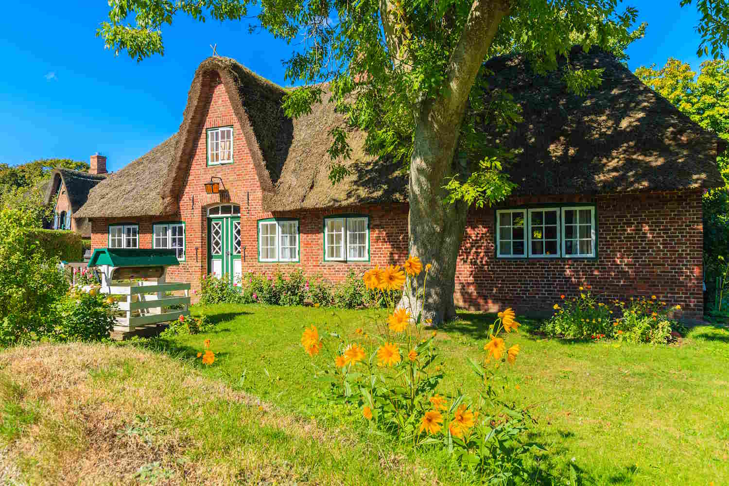 Friesenhaus in Kaitum mit Wiese im Vordergrund