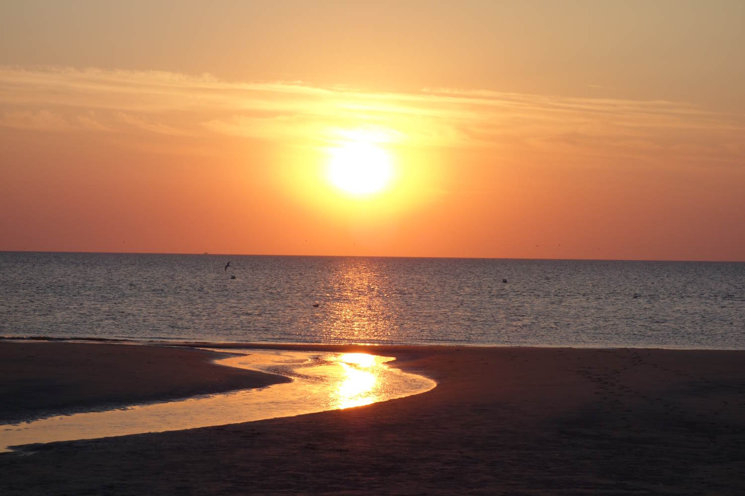 Sonneuntergang in SPO