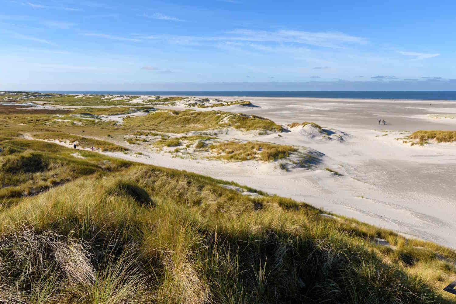 Dühnenlandschaft auf Amrum