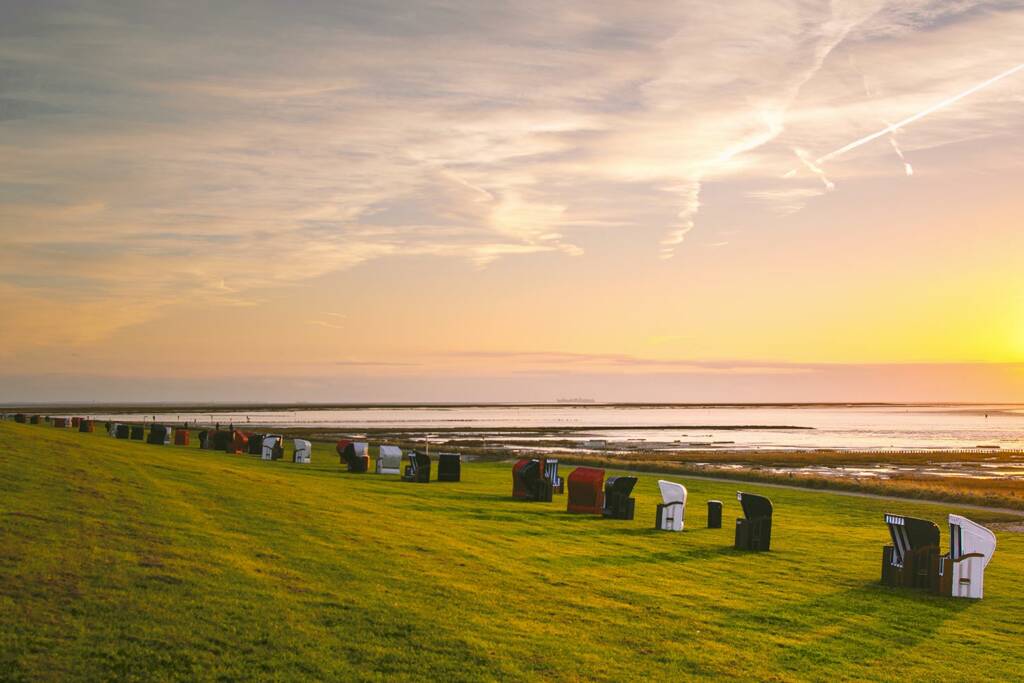 Strandkörbe am grünen Strand von Friedrichskoog.