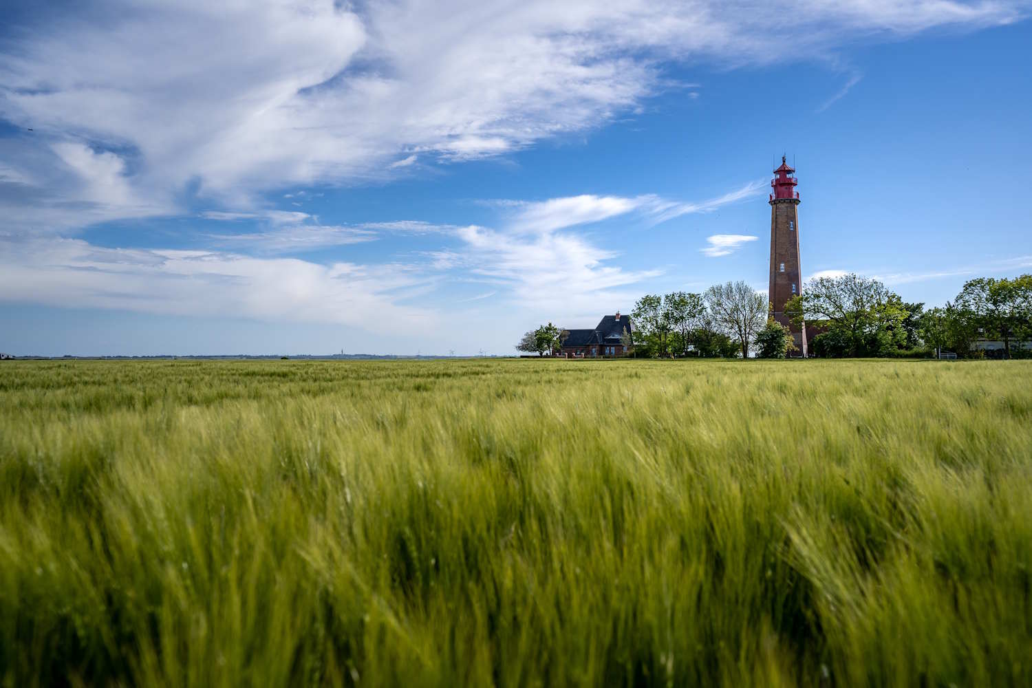 Leuchtturm Flügge mit Wiese davor