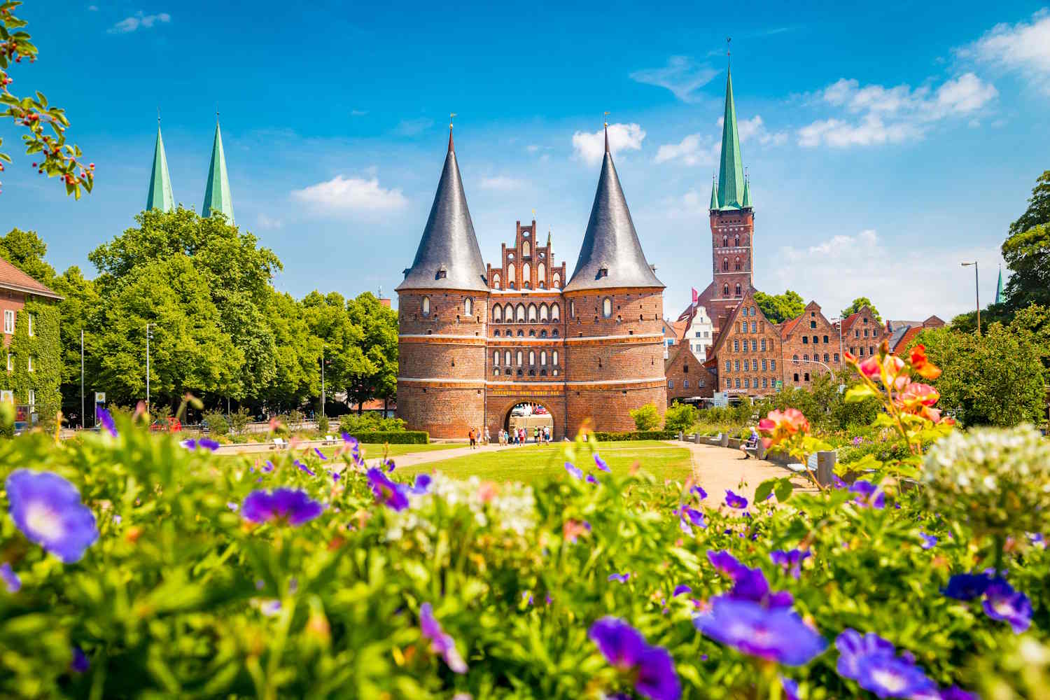 Holstentor in Lübeck mit lila Blumen im Vordergrund