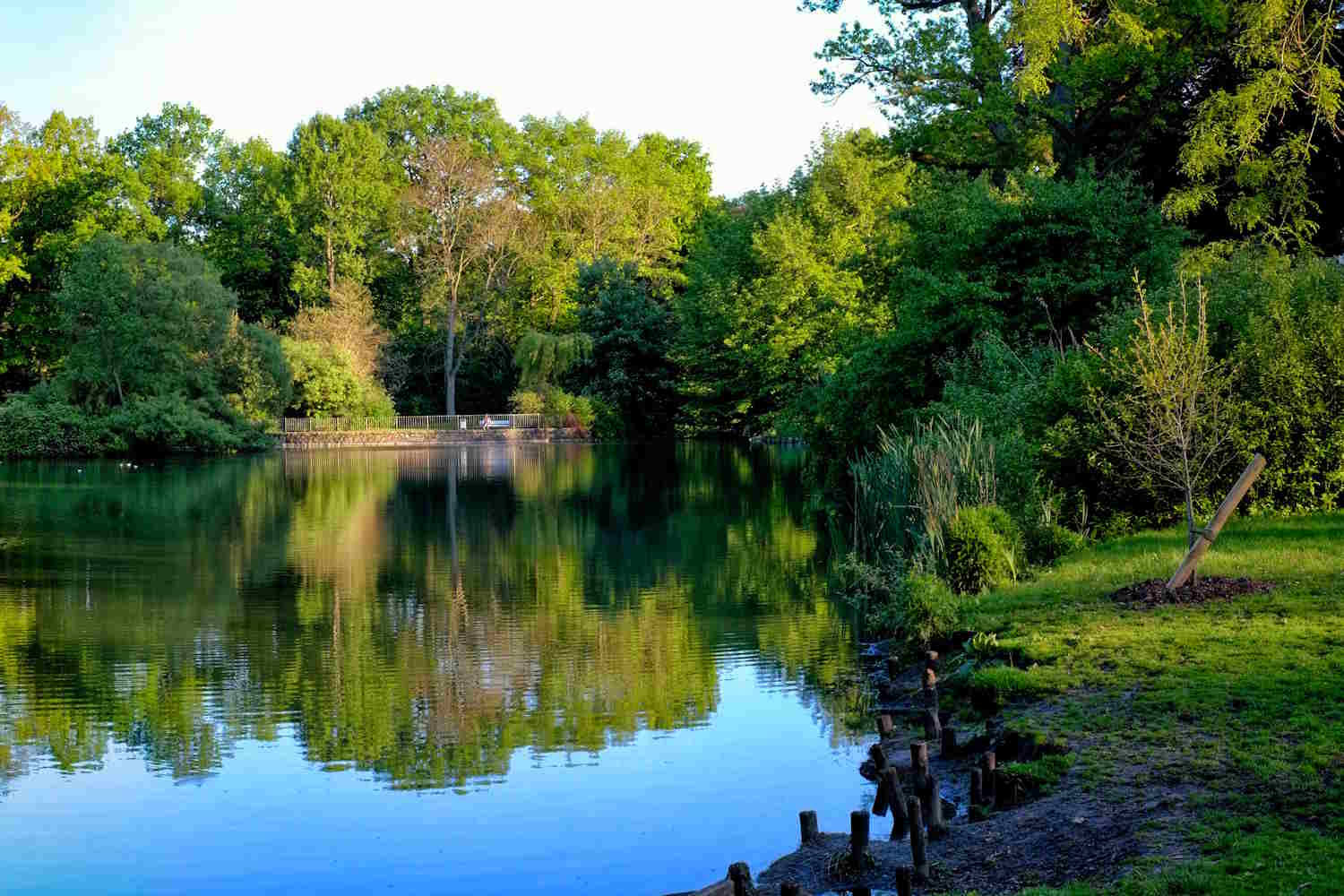 Lübeck Stadtpark mit Teich