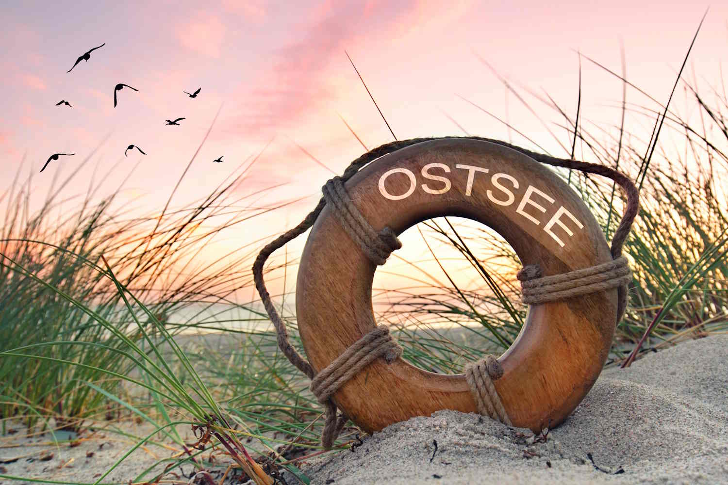 Rettungsring aus Holz in Dünen vor rosa verfärbtem Himmel