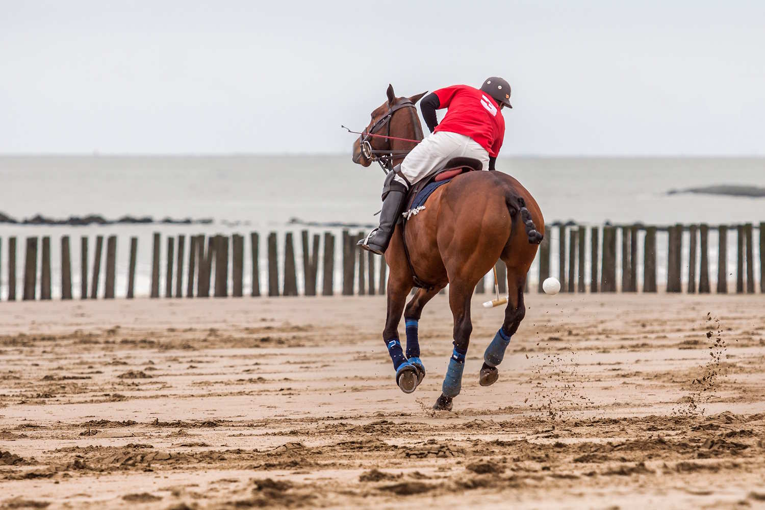 Reiter beim Beach Polo