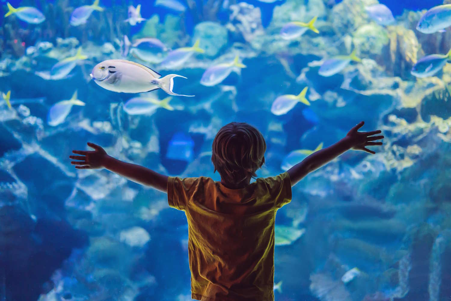 Kind im Aquarium