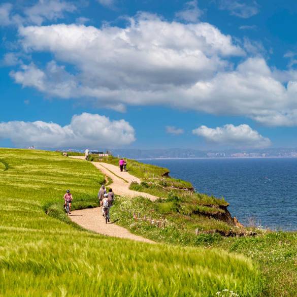 Küstenradweg Travemünde mit grüner Wiese und Steilküste