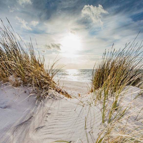 PRI_Strand©Klaus-Haase-stock.adobe.com_web-Q